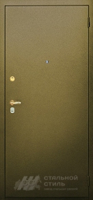 Металлическая дачная дверь с порошковым окрасом ДЧ №17 с отделкой Порошковое напыление - фото